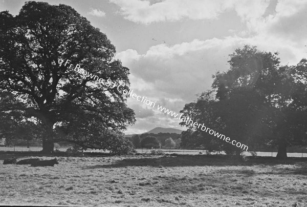 CASTLE AND RIVER FROM CAHIR HOUSE